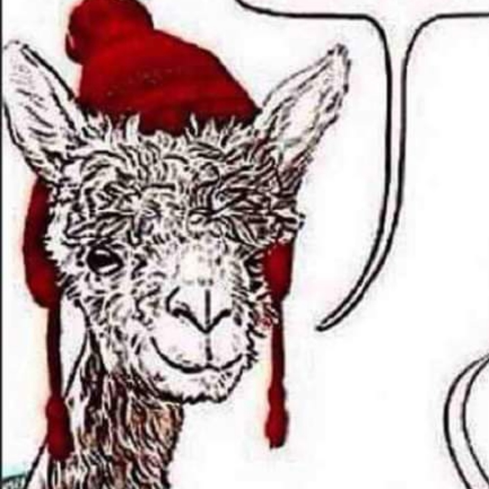 Meet your Posher, Tony